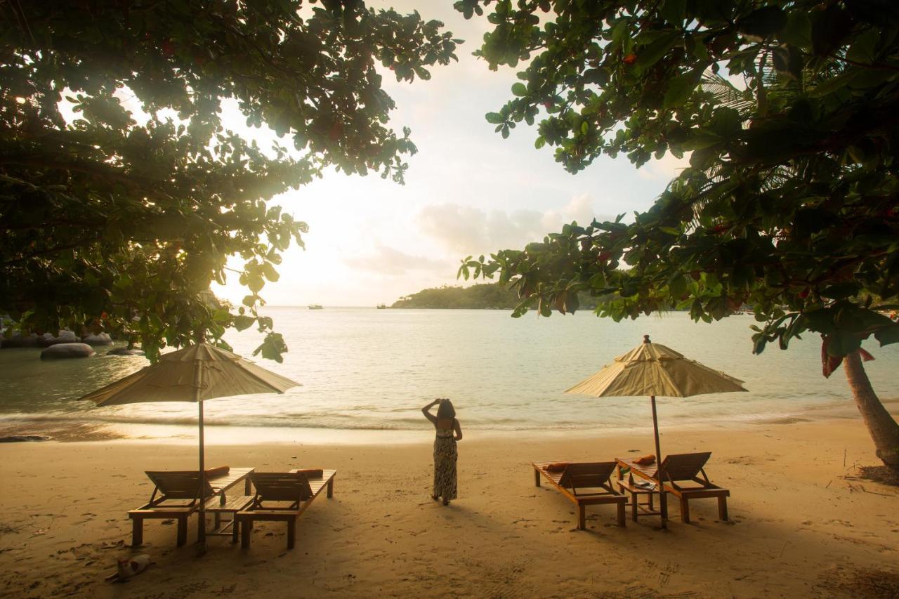 Koh Tao Relax Freedom Beach Resort Eksteriør bilde